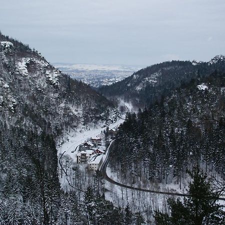 Wohlfuehlzeit Im Zittauer Gebirge Leilighet Eksteriør bilde
